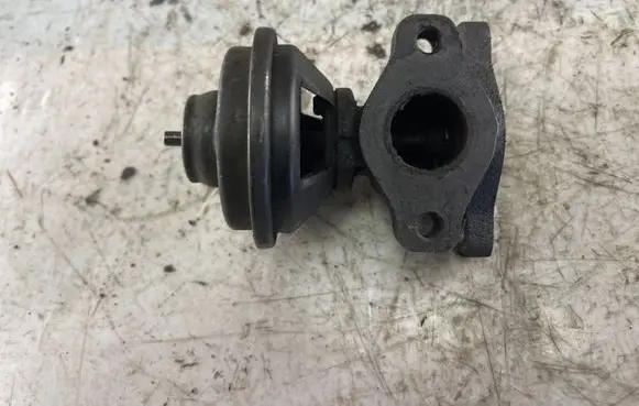 EGR valve