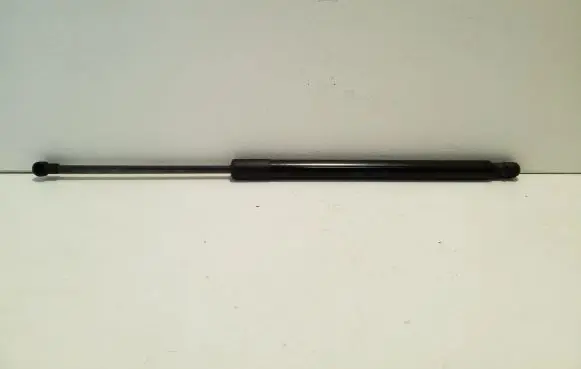Tailgate/trunk strut/damper