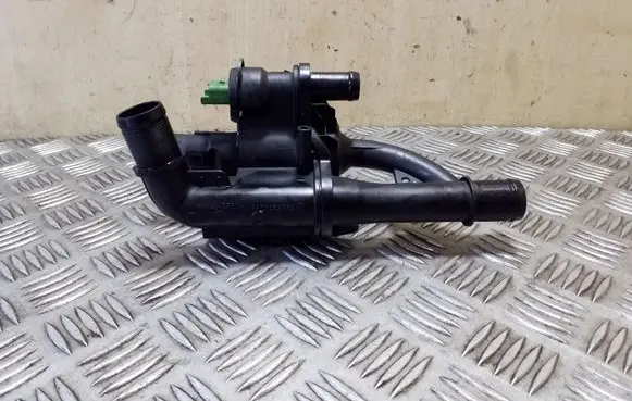 Thermostat/thermostat housing