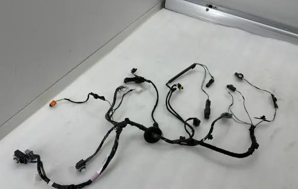 Tesla Model X Other wiring loom 203244200A S18291128165