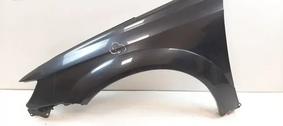 Fender