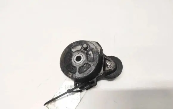 Peugeot 607 Generator/alternator belt tensioner