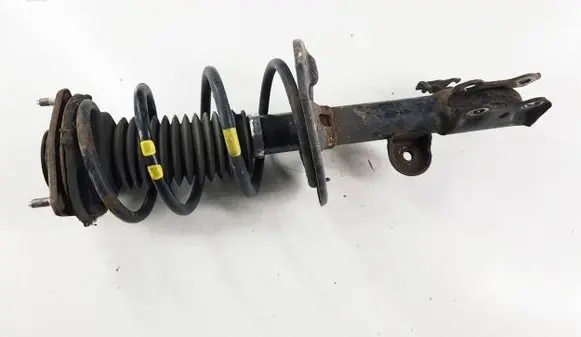 Toyota RAV 4 (XA40) Front shock absorber with coil spring