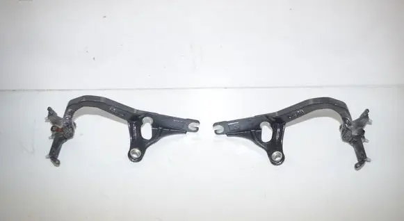 BMW 3 GT F34 Tailgate/trunk/boot hinge 7295643 7295644 7357421