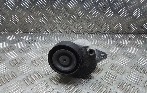 Citroen Jumpy Generator/alternator belt tensioner 9805244980