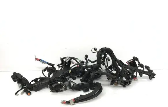 Engine installation wiring loom