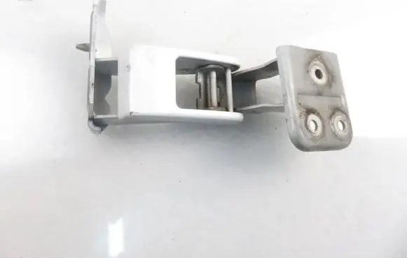 Fiat Scudo Rear door hinge set 