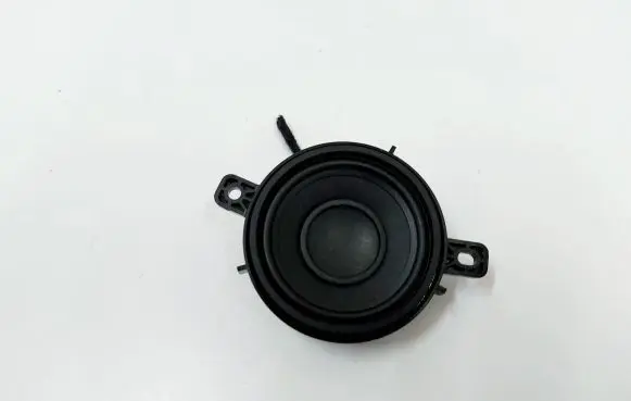 Panel speaker