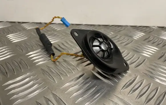 Front door high frequency speaker