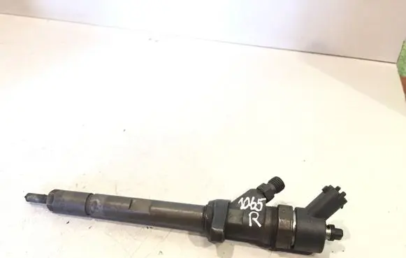 Citroen C5 Fuel injector 0445110036 9637277980