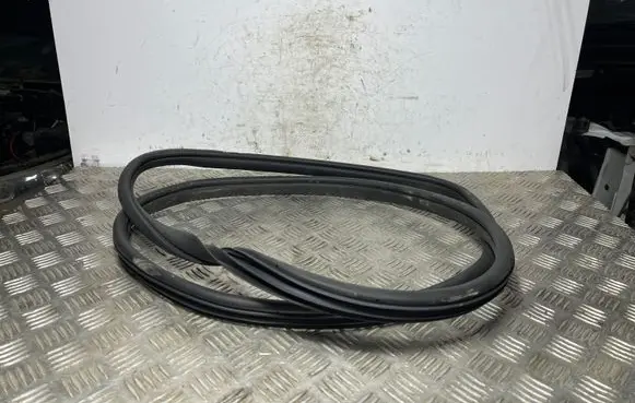 Hyundai Kona I Rear door rubber seal (on body) 