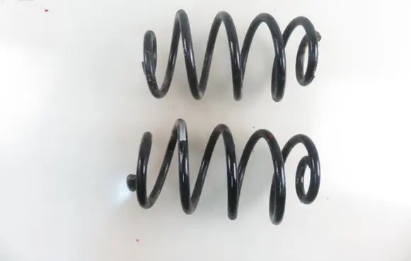 Renault Clio III Rear coil spring 994168