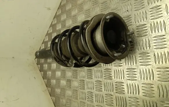 BMW X1 E84 Front shock absorber/damper 6851335