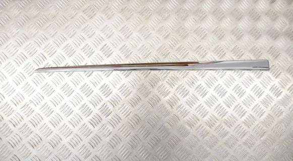 Front door trim (molding)