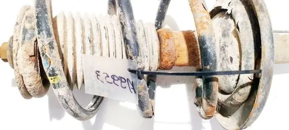 Front coil spring