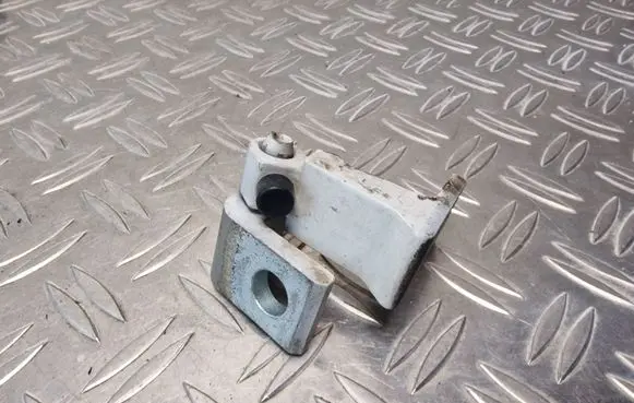 Volkswagen PASSAT B8 Front door lower hinge 8X0831404E