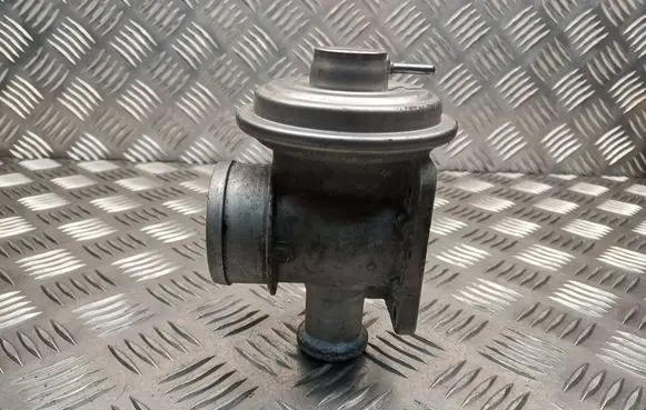 EGR valve