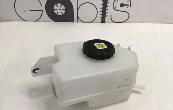 Lexus RX V Brake fluid reservoir 