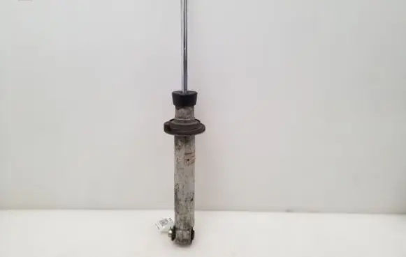 BMW 5 E39 Rear shock absorber/damper 1093646