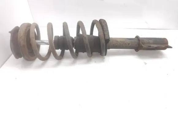 Citroen Jumper Front shock absorber with coil spring