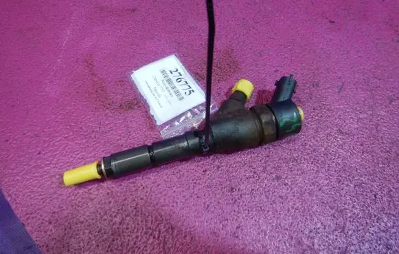 Citroen C5 Fuel injector 0445110076