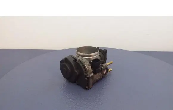 Seat Toledo II (1M) Throttle body valve 021133066