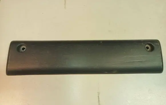Renault Master II Rear door trim (molding) 7701692574