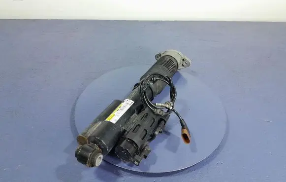 Mercedes-Benz AMG GT R190 C190 Rear shock absorber/damper A2903209100