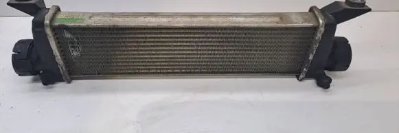 Mercedes-Benz Vaneo W414 Intercooler radiator A1685000000