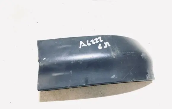 Rear/tail light trim molding
