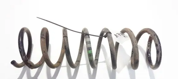 Ford Focus Rear coil spring