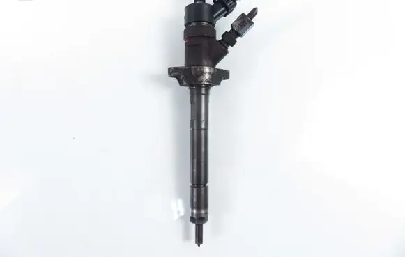 Citroen Berlingo Fuel injector 0445110239
