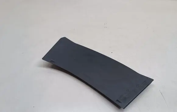Rear/tail light trim molding