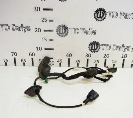 Front door wiring loom