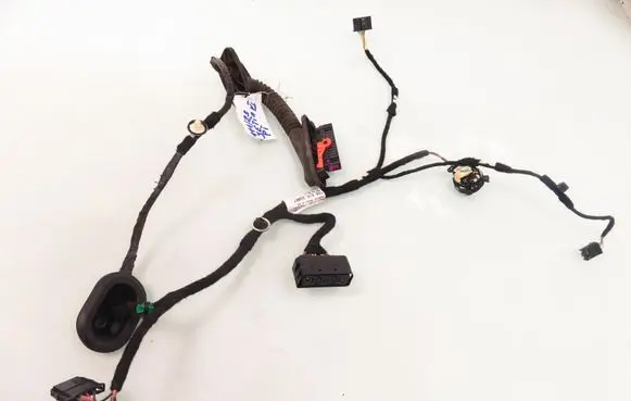 Volkswagen Jetta VI Rear door wiring loom 5C7971694E