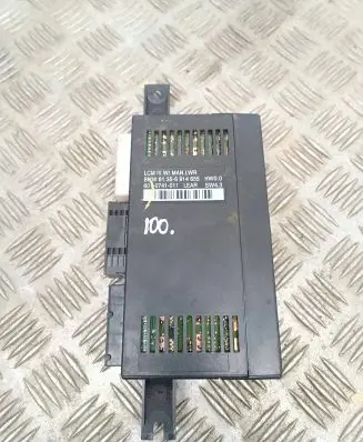 BMW 5 E39 Light module LCM 6914655 10741011