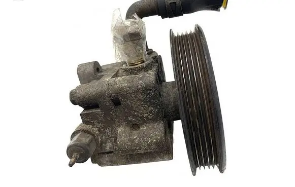 Suzuki Grand Vitara II Power steering pump 4910065J00