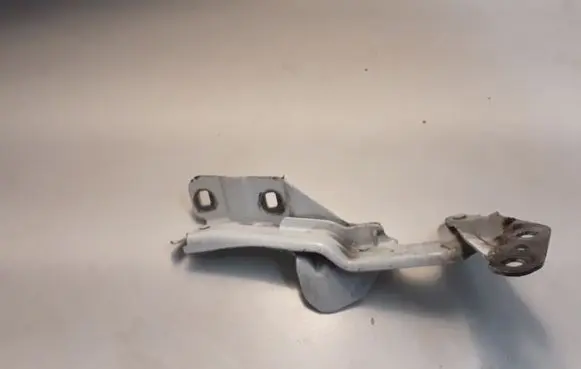 Ford Galaxy Engine bonnet/hood hinges EM2BR16800AF