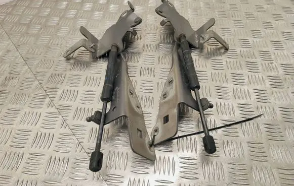 Renault Scenic III - Grand scenic III Engine bonnet/hood hinges 