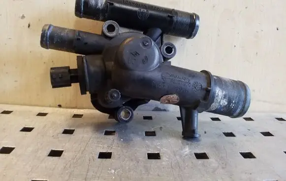 Thermostat/thermostat housing