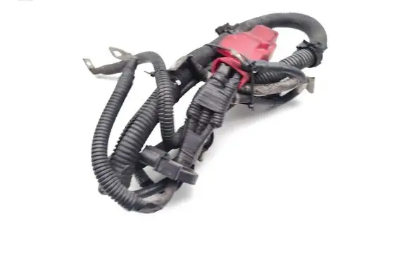 Engine installation wiring loom