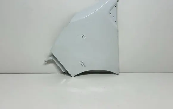 Renault Trafic III (X82) Fender 631018862R