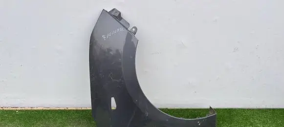 Hyundai i10 Fender 66321-B9010