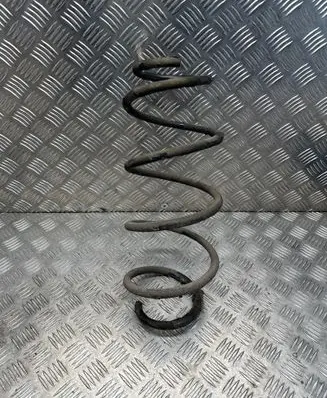 Front coil spring