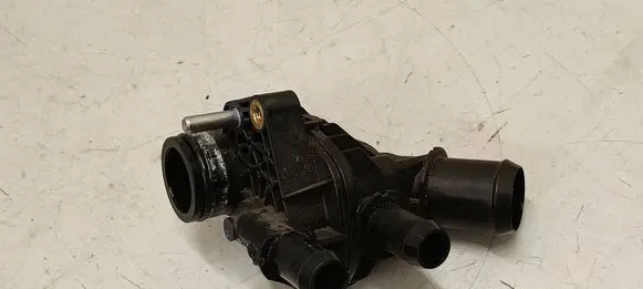 Thermostat/thermostat housing