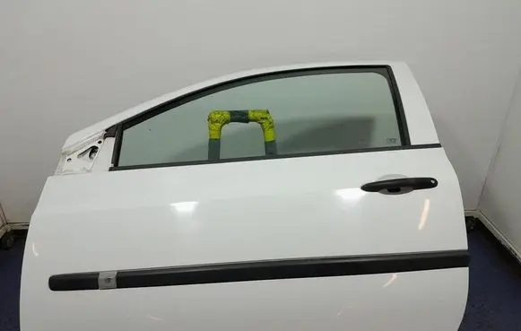 Renault Clio III Front door 