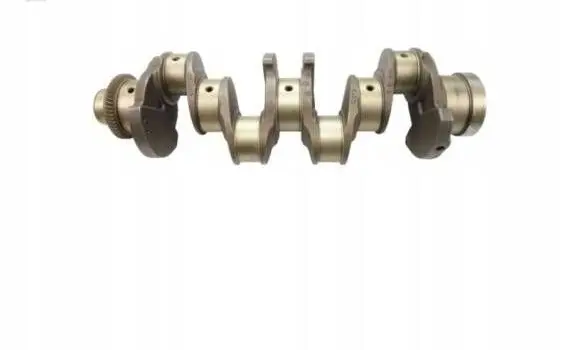 Fiat Iveco Daily Crankshaft 504017281