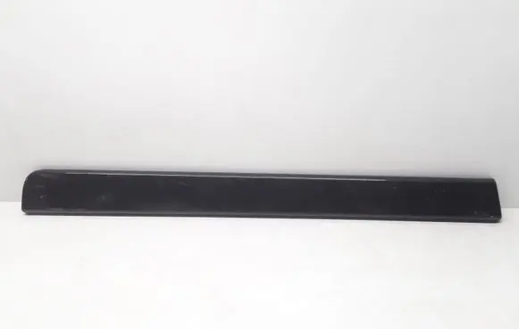 Rear door trim (molding)