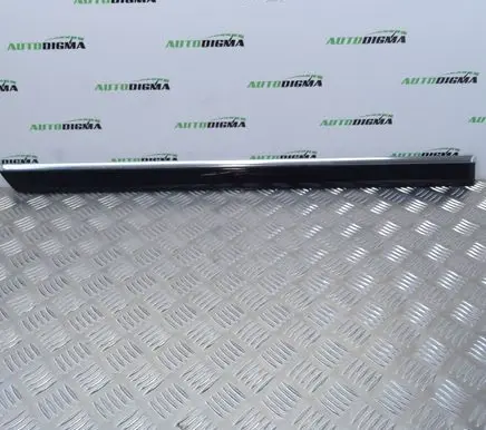 Rear door trim (molding)