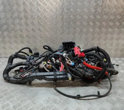 Tesla Model Y Other wiring loom 248905807B 101558500A